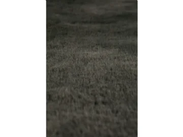2026_07_10_2286121